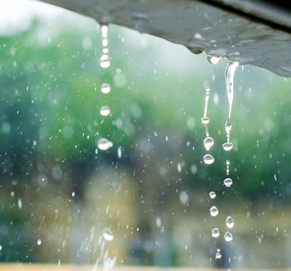 Sustainability Images.2