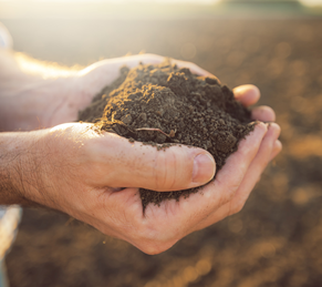 Sustainability Images.3